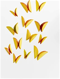 Overhead flat lay of several mango slices arranged into butterfly shapes on a white background, creating a whimsical food art design.
