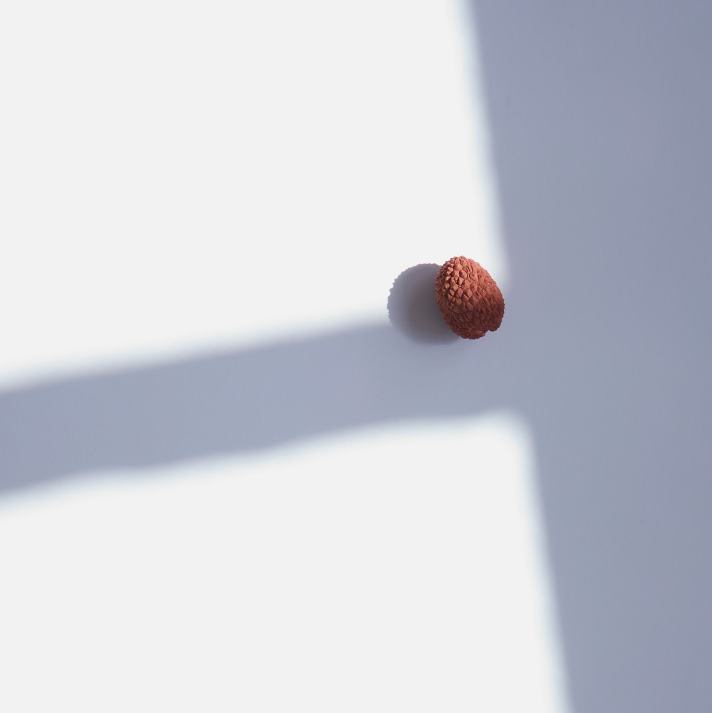 Close-up of a single lychee fruit with a textured red shell, positioned on a white surface casting a soft shadow.