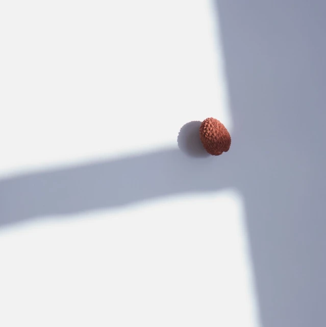 Close-up of a single lychee fruit with a textured red shell, positioned on a white surface casting a soft shadow.
