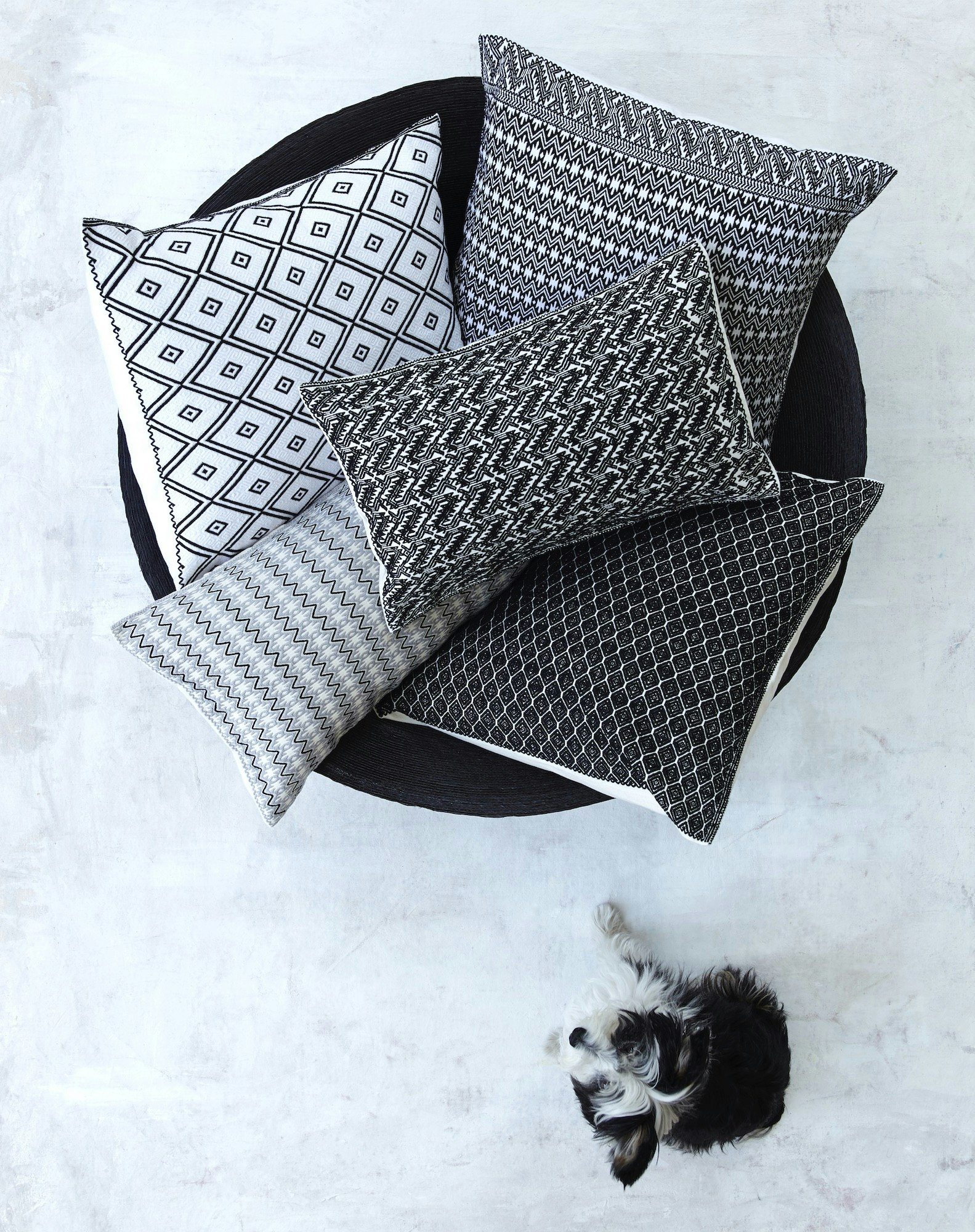 Overhead shot of a bowl filled with patterned decorative pillows, with a small dog lying on the floor in the corner.