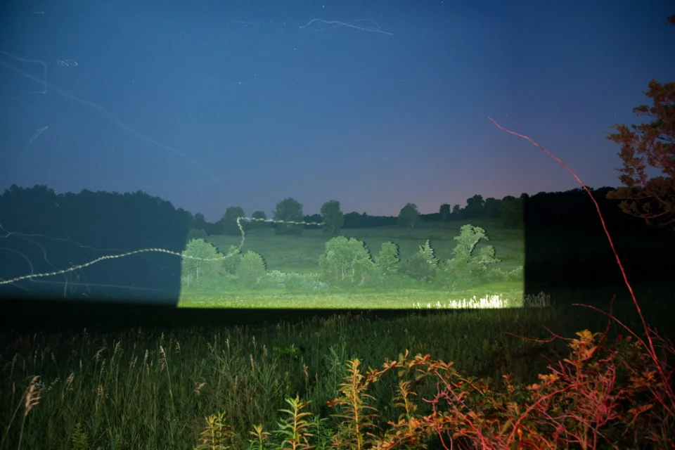 Rural landscape at night featuring a field of tall grasses and an illuminated treeline, with light trails visible in the sky above.