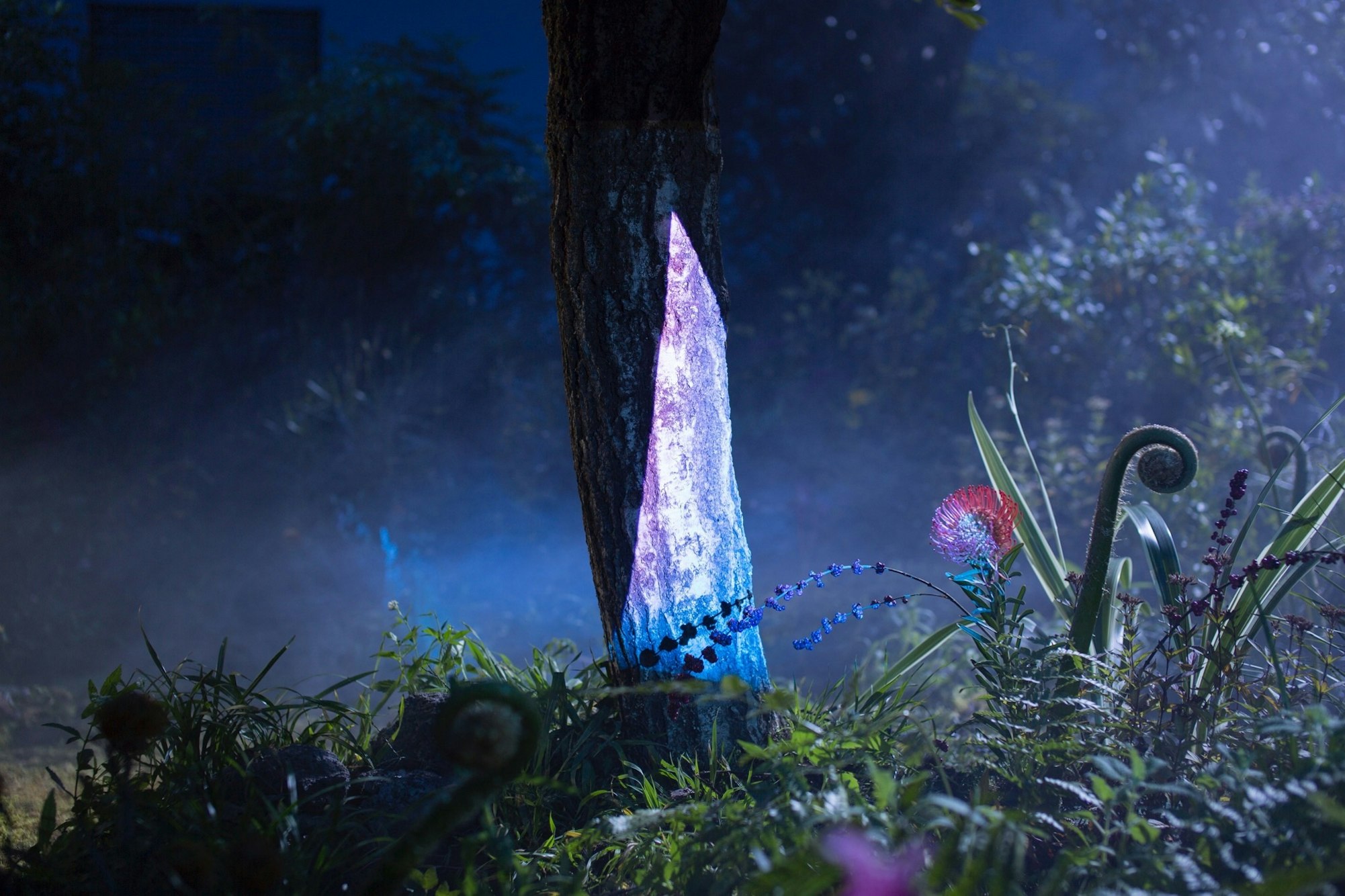 Glowing crystal formation at the base of a tree trunk surrounded by plants in a mystical, ethereal forest at night.