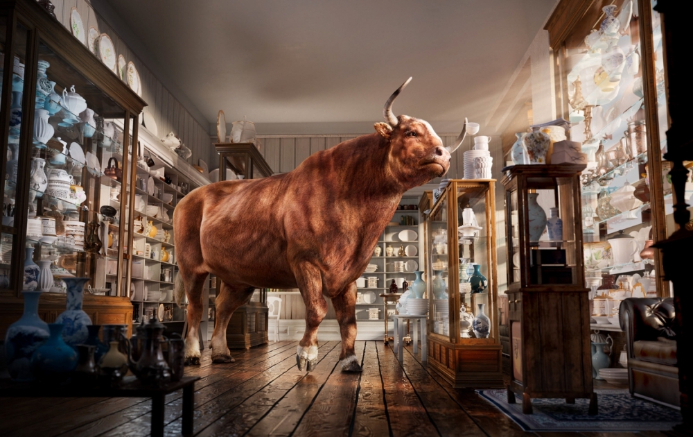 A large brown bull stands inside an antique store with wooden floors and displays of white ceramic dishware and vases in glass cabinets.