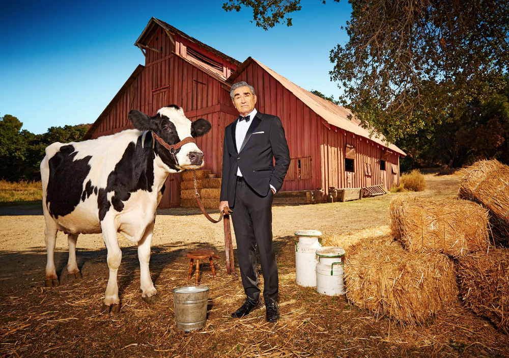Man in tuxedo with cow in rural setting, standing in front of red barn with bales of hay and metal buckets. Clear sky.
