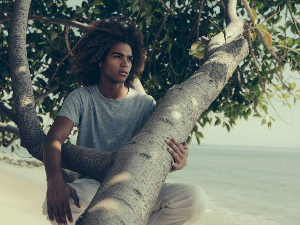 Young man with curly hair wearing a grey t-shirt sitting in a tree framing an ocean and beach background