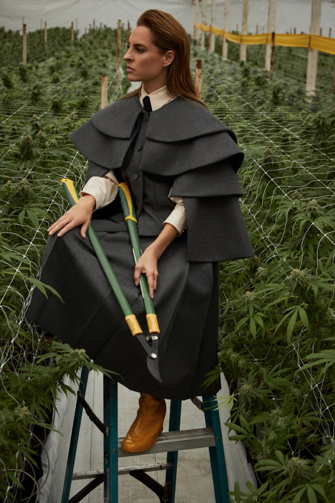 Adult woman in tiered cape and skirt sits on a ladder in a greenhouse holding pruning shears amongst cultivated cannabis plants.