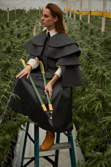 Adult woman in tiered cape and skirt sits on a ladder in a greenhouse holding pruning shears amongst cultivated cannabis plants.