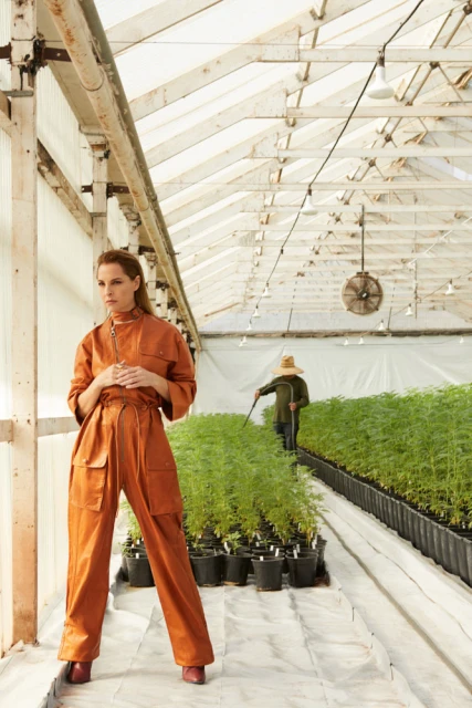Adult female model in rust-colored jumpsuit stands in greenhouse filled with cannabis plants, while farmer tends the crop.