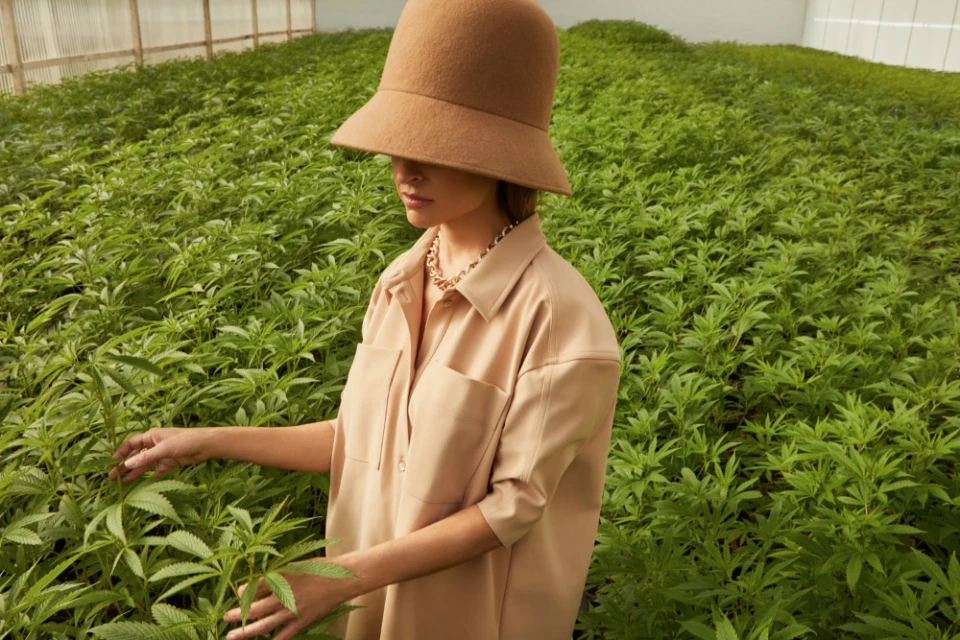 Woman in beige outfit wearing large hat standing in a room full of cannabis plants, tending the crop in a greenhouse with bright lighting.
