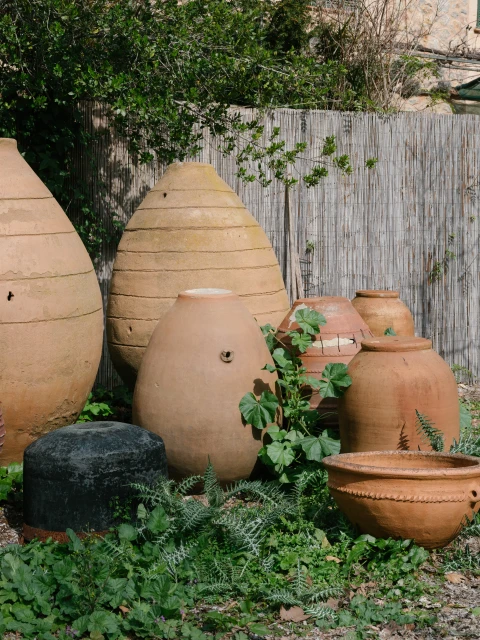 Group of weathered terracotta garden pots and planters of varying sizes and shapes are arranged outdoors in a lush garden setting.