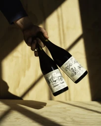A hand holding two bottles of natural wine diagonally against a light plywood surface bathed in diagonal sunlight and shadows.