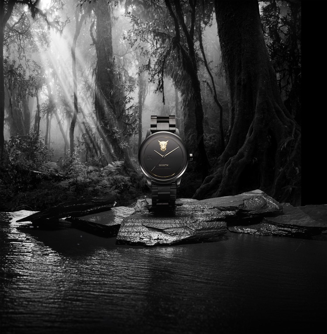 Elegant wristwatch on a rock in a monochrome forest setting with dramatic lighting, showcasing a nature-themed luxury timepiece.