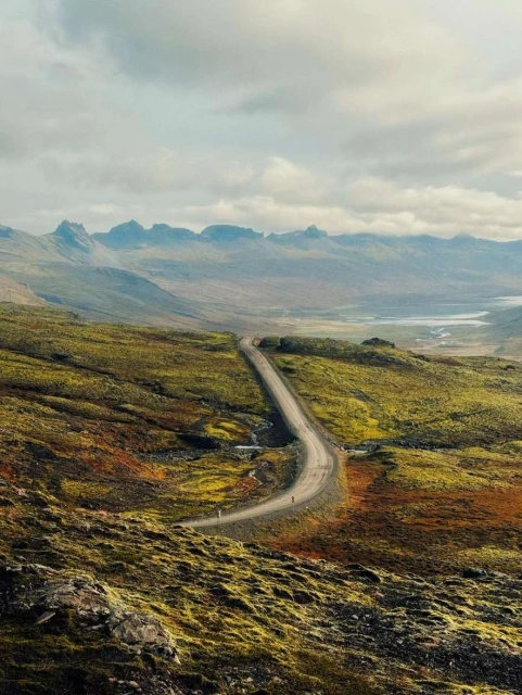 Scenic Iceland landscape with winding road through mossy hills leading to distant mountains under an overcast sky, creating a serene atmosphere.
