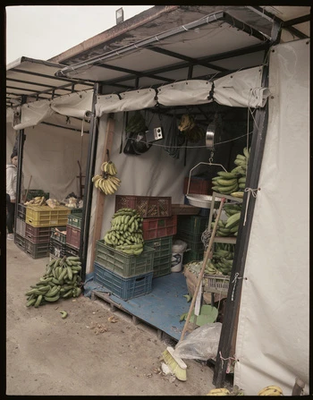 Produce stand with rows of green and yellow bananas in crates and hanging, creating a market atmosphere with fresh fruit.