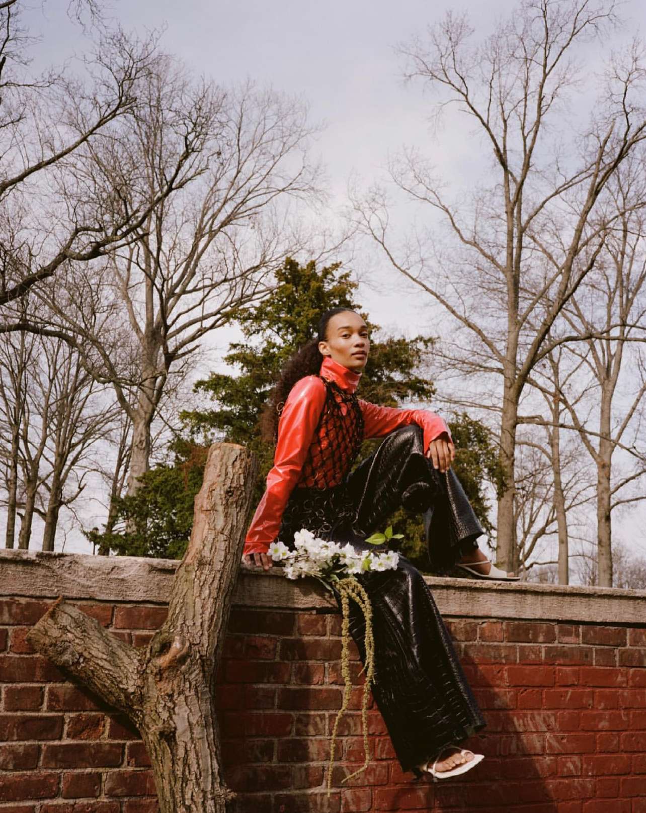 Fashionable woman in a red top and black pants sits on a brick wall outdoors with a tree and bare branches in the background.