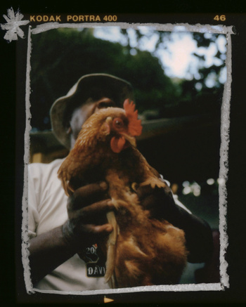 Person holding a brown hen outdoors in natural light. The image is framed by the edge of a photographic negative with 'Kodak Portra 400' text.