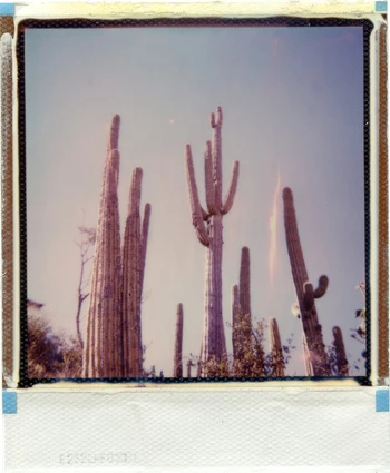 Close-up portrait of a smiling adult male model in a black suit, tie, and sunglasses against a blurred background.