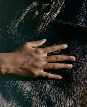 Closeup of a human hand gently resting on the dark, coarse hair of a horse, creating a tactile and serene image.
