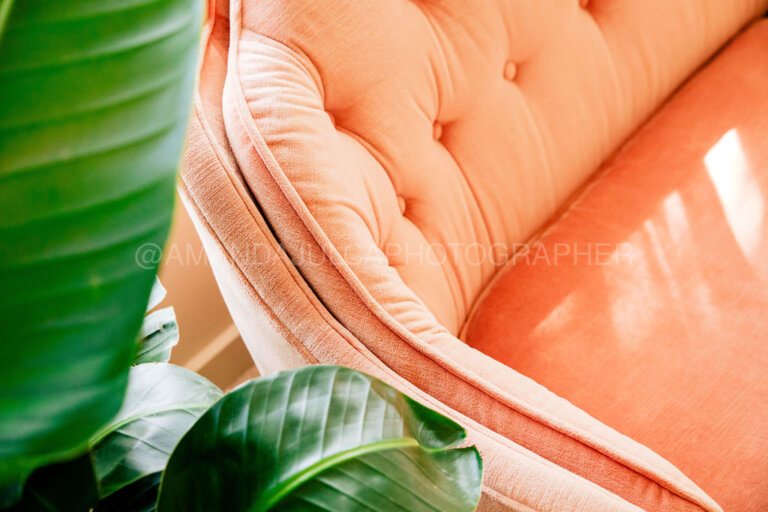 Closeup of a salmon-colored, tufted velvet couch, partially obscured by large, green tropical leaves on the left side of the frame.