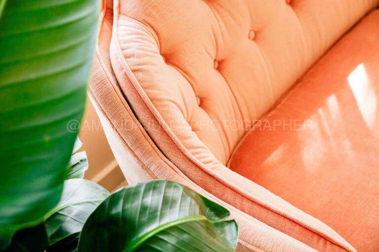 Closeup of a salmon-colored, tufted velvet couch, partially obscured by large, green tropical leaves on the left side of the frame.