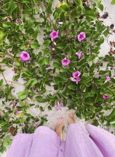 A woman stands on a sandy beach surrounded by vibrant green plants with purple flowers, showcasing a blend of nature and personal connection.