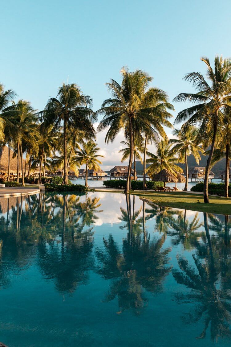 Scenic view of palm trees reflected in a swimming pool near thatched-roof bungalows, creating a serene tropical resort scene.