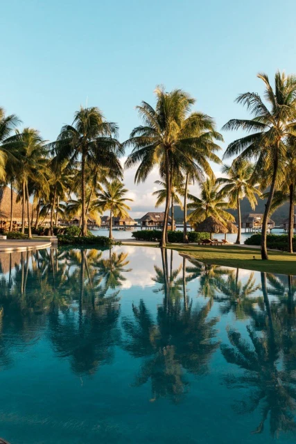 Scenic view of palm trees reflected in a swimming pool near thatched-roof bungalows, creating a serene tropical resort scene.