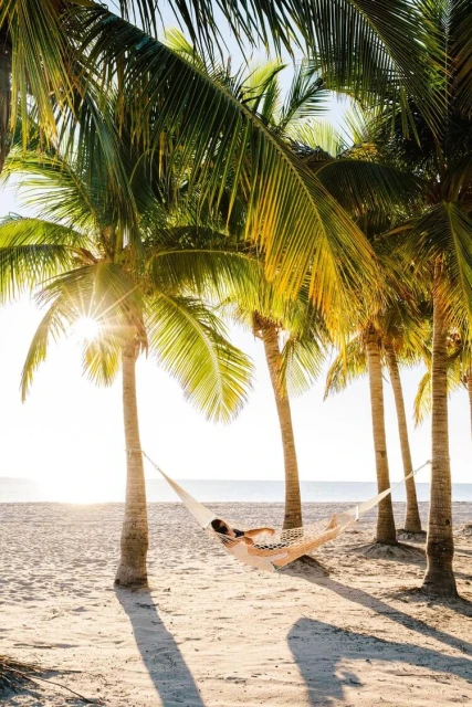 Woman relaxing in a hammock strung between palm trees on a sandy beach. Tropical vacation scene in bright sunlight.