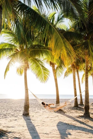 Woman relaxing in a hammock strung between palm trees on a sandy beach. Tropical vacation scene in bright sunlight.