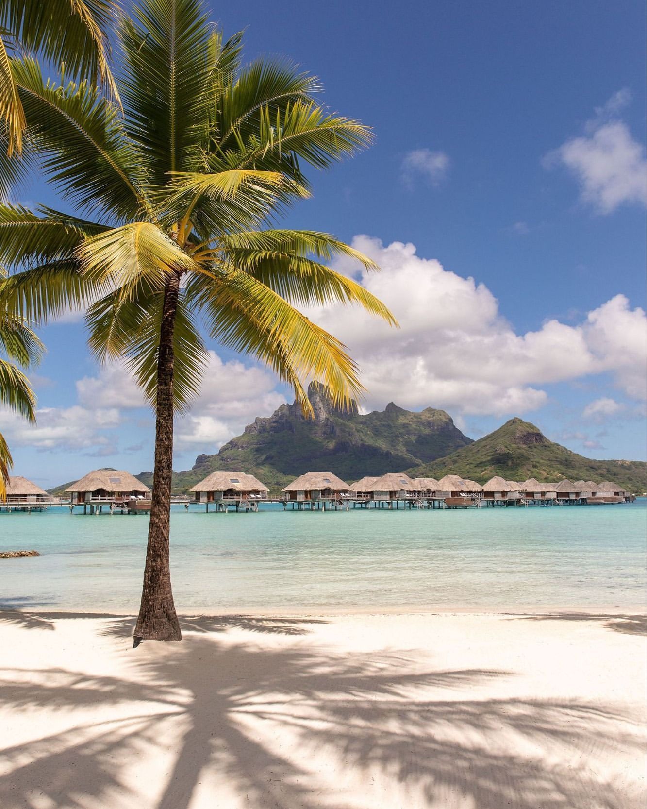 Idyllic view of overwater bungalows in turquoise lagoon, lush tropical palm trees in foreground, mountain backdrop, clear blue sky.