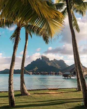 Tropical island scene with palm trees framing a turquoise ocean and a distant mountain, featuring a hammock strung between two palm trees.