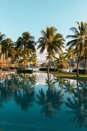 Resort swimming pool reflecting tall palm trees and thatched roof huts under a clear blue sky