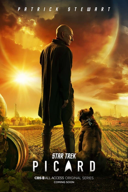Patrick Stewart and a dog stand in a vineyard bathed in golden sunlight in a promotional image for 'Star Trek: Picard'.