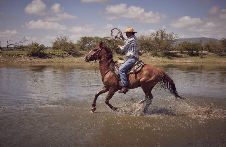 A cowboy rides a chestnut-colored horse through shallow water, holding a lasso overhead in a sunny, outdoor, rural setting with cloudy skies.