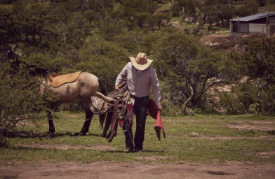 Cowboy in straw hat carrying a saddle across a grassy field near a horse