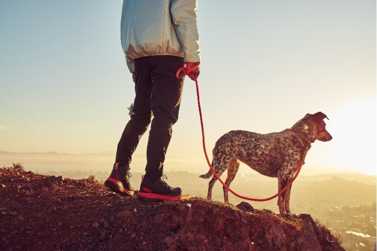 Person walking a dog on a mountain top at sunset, wearing outdoor clothing and athletic shoes. The dog is on a red leash.