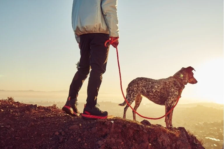 Person walking a dog on a mountain top at sunset, wearing outdoor clothing and athletic shoes. The dog is on a red leash.