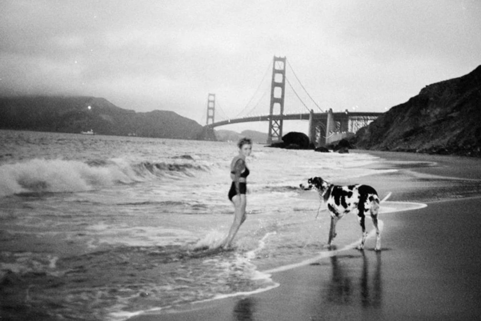 Monochrome beach scene with an adult female and Great Dane dog in the foreground, and the Golden Gate Bridge in the distance.