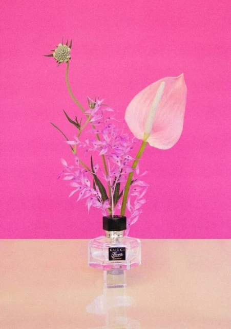 Still life of Gucci Bloom Profumo d Fiori perfume bottle with pink anthurium flower and sprigs against a pink and cream background.