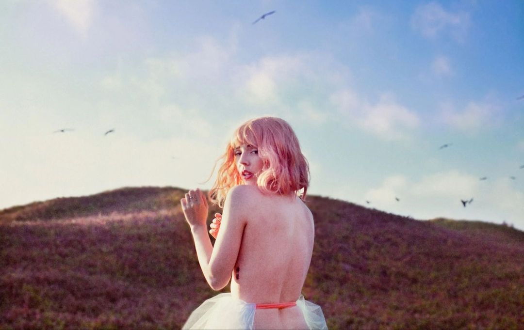 Woman with pink hair in nature background with flock of birds and grassy hills, shot in landscape orientation, back view, natural light.