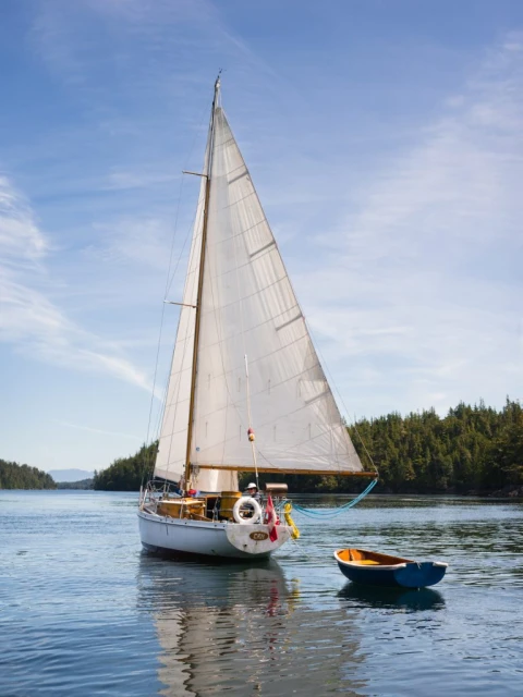 A white sailboat with a tall mast sails on calm blue water near a wooded shoreline under a partly cloudy, sunny sky with a small dinghy.