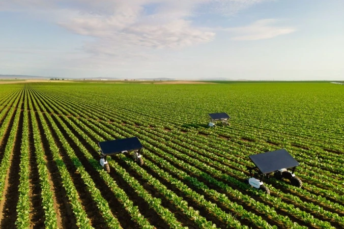Agricultural robots work in rows across a vast green farmland under a light blue sky, showcasing precision farming technology and innovation.