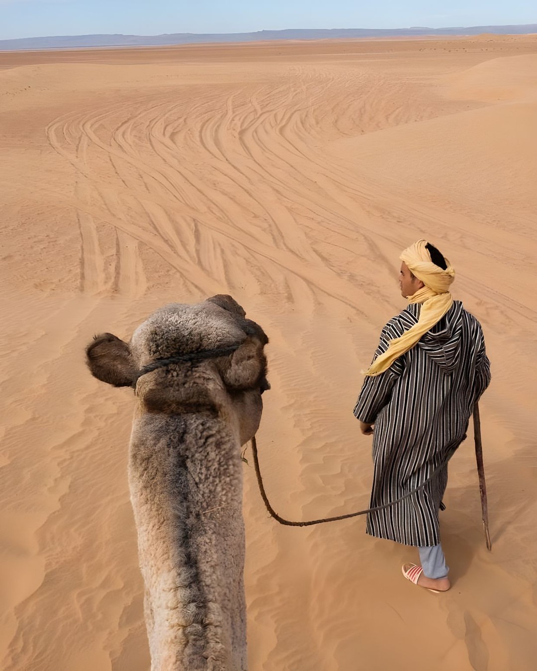 Camel's eye view of a man in traditional clothing traversing a vast, undulating desert landscape under a clear, blue sky on a sunny day.