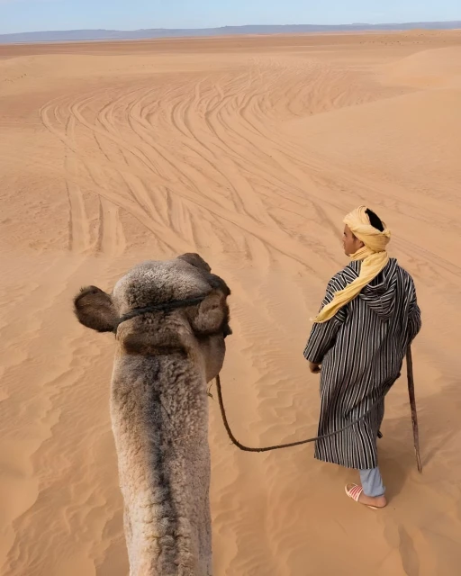 Camel's eye view of a man in traditional clothing traversing a vast, undulating desert landscape under a clear, blue sky on a sunny day.