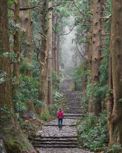 A woman ascends a stone staircase through a forest of tall, straight trees, under a misty sky, creating a vertical composition.