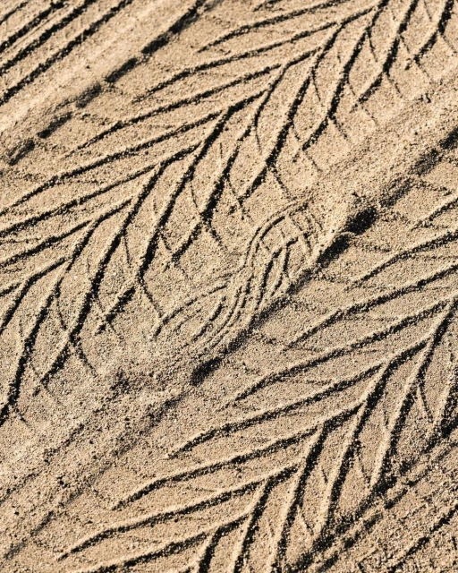 Sandy ground with tire tracks creating a linear pattern; close-up shot emphasizing texture and repeating forms in outdoor setting.