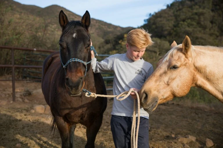 A blonde teen boy stands outdoors holding a rope halter between a dark brown horse and a tan horse, with grassy hills in the background.