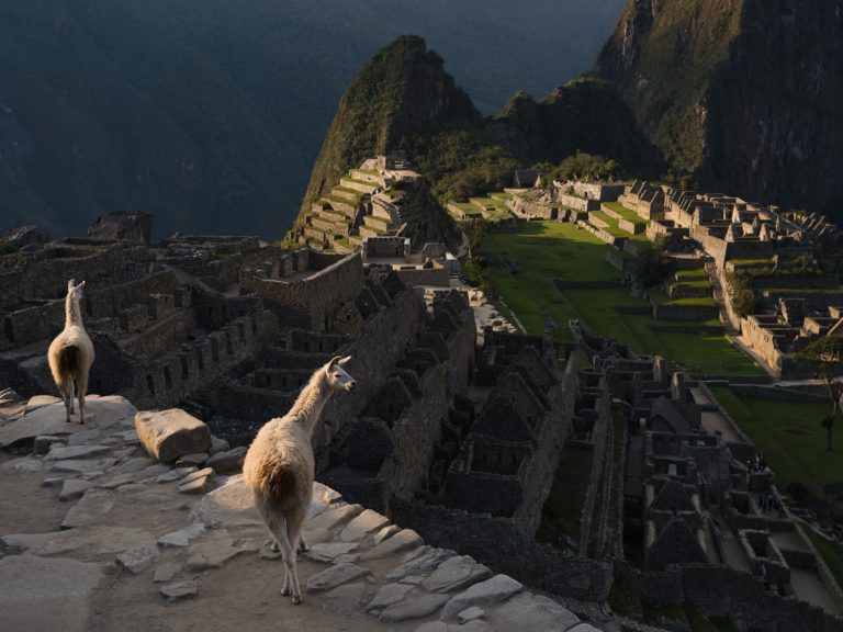 Two llamas stand on a stone path overlooking the ancient ruins of Machu Picchu, surrounded by mountains and lush greenery.