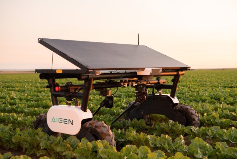 Agricultural robot autonomously navigates a field of crops, featuring a solar panel on top, in an outdoor rural environment at dusk.
