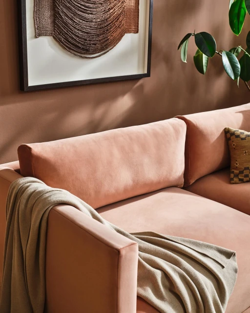 Interior design featuring a modern pink couch with a throw blanket, complemented by abstract art and a potted plant against a neutral wall.